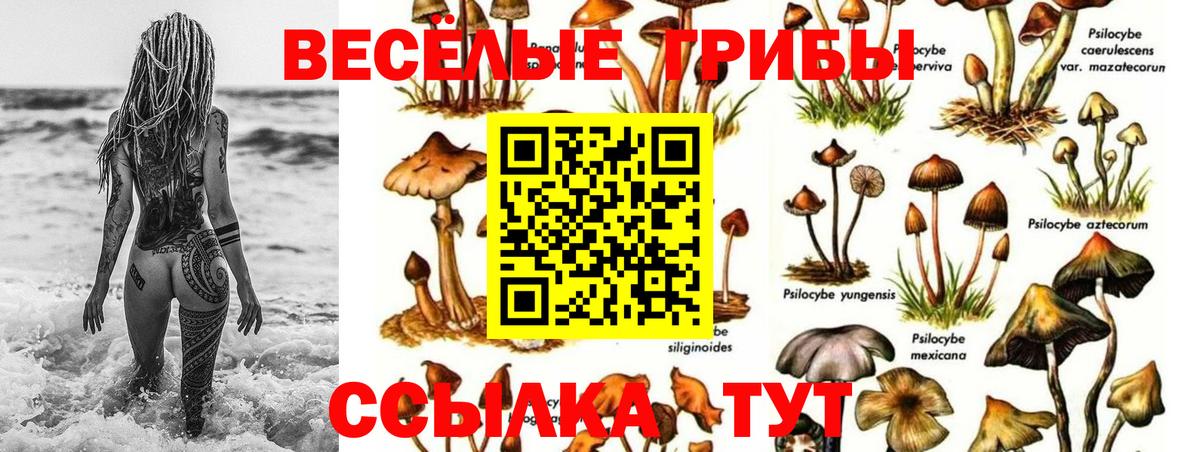 Псилоцибиновые грибы Magic Shrooms  Вход с VPN  Семилуки 
