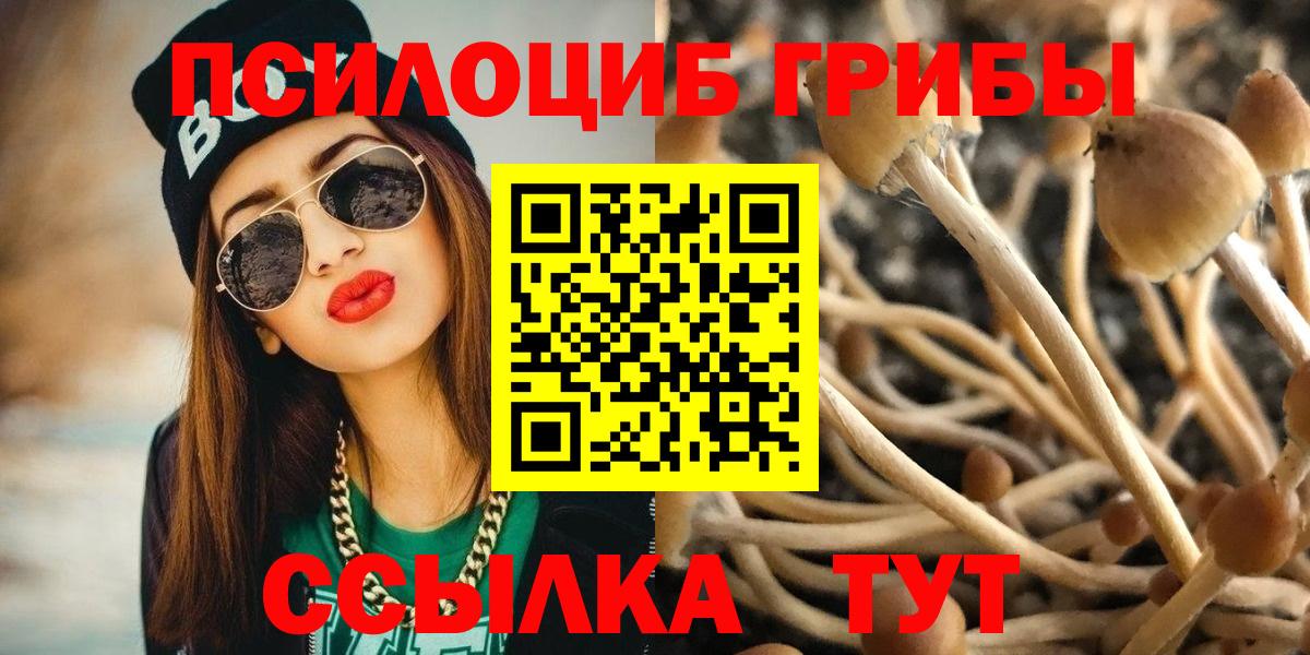 Галлюциногенные грибы ЛСД Семилуки